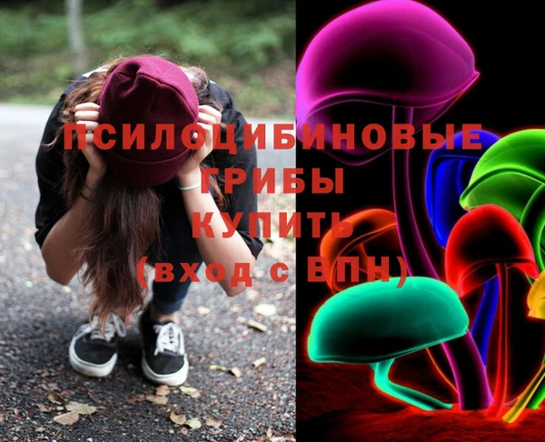 мдпв Белокуриха